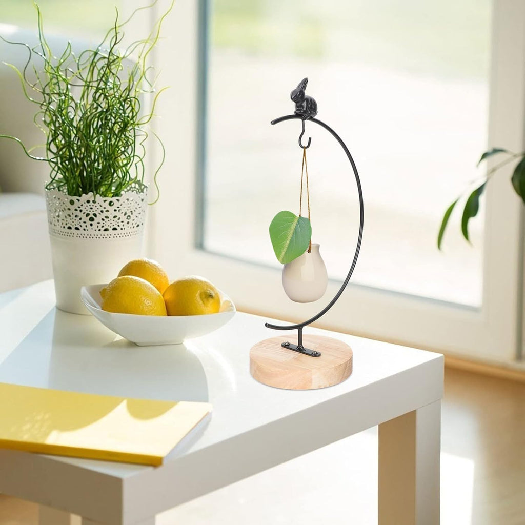  Cabilock Cadre En Fer Micro Paysage Globe Suspendu En Verre Arbre D'affichage D'ornement Cintre D'affichage D'ornement De Fil Présentoir D'ornement Un Verre Mariage Fer Forgé Bureau