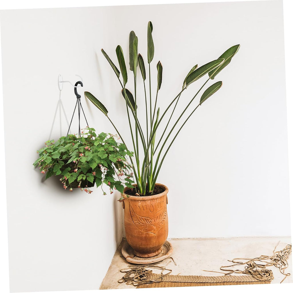  4pièces Muraux Fer Supports Décoratifs Pour Plantes Paniers Et Accessoires Fixation Simple Pour Balcon Jardin Et Intérieur Blanc